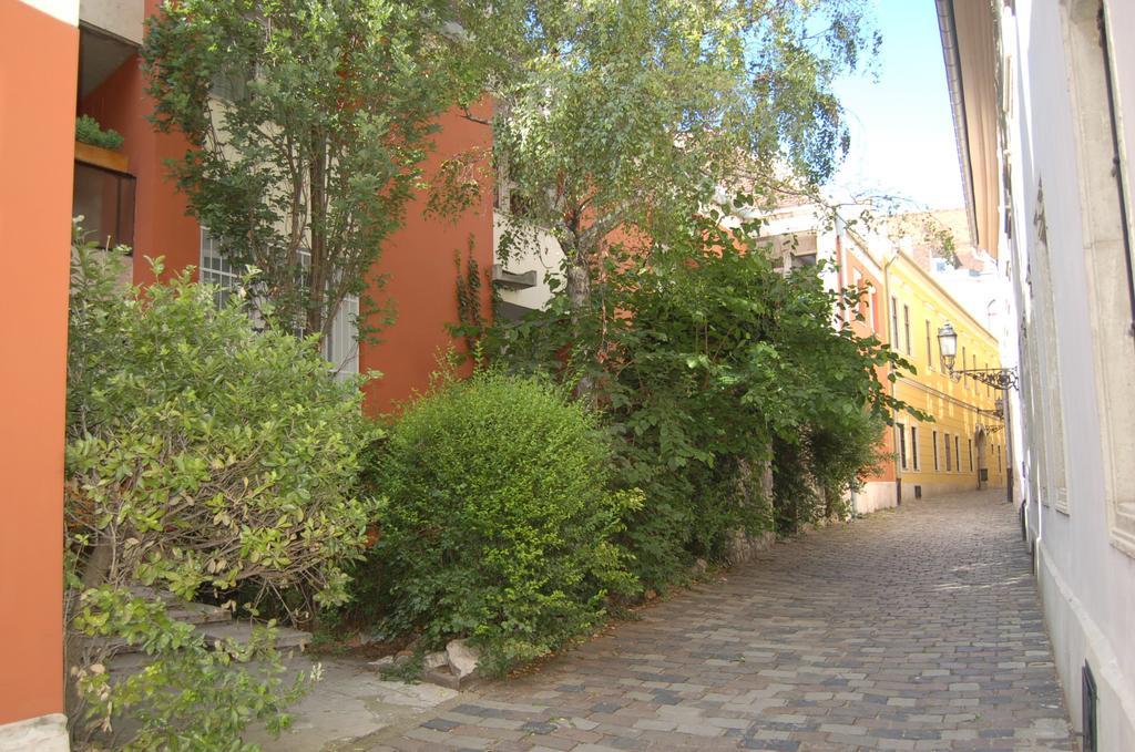 Buda Castle Apartments Budapeşte Oda fotoğraf