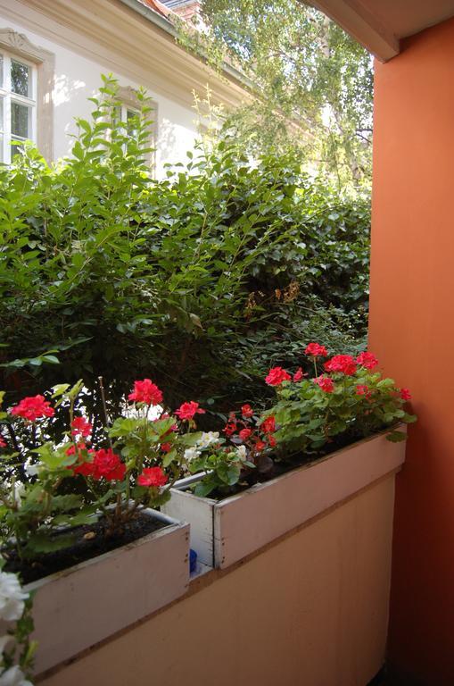 Buda Castle Apartments Budapeşte Oda fotoğraf