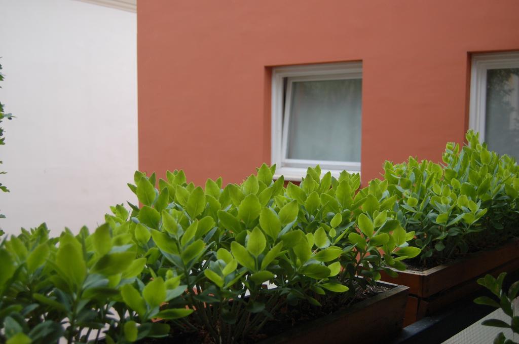 Buda Castle Apartments Budapeşte Oda fotoğraf